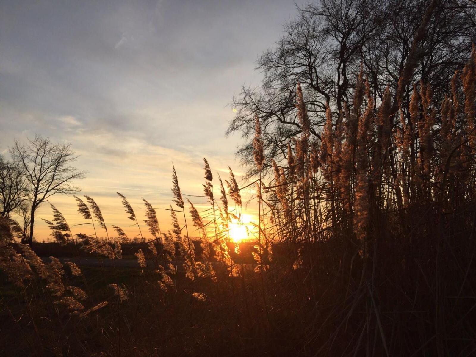 Spreewald-Ferienwohnung Reschke Radensdorf Buitenkant foto