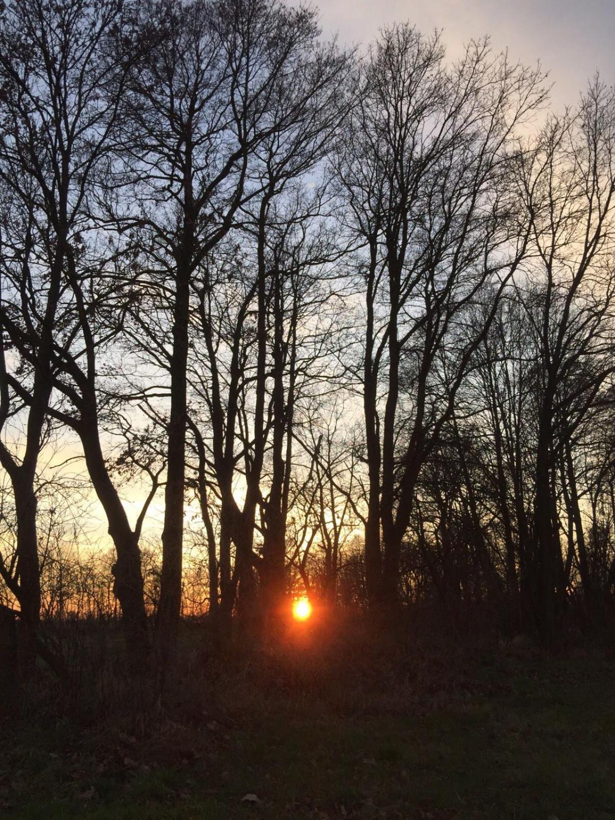 Spreewald-Ferienwohnung Reschke Radensdorf Buitenkant foto